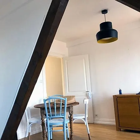 Apartment Charming Downtown With Roof Mulhouse