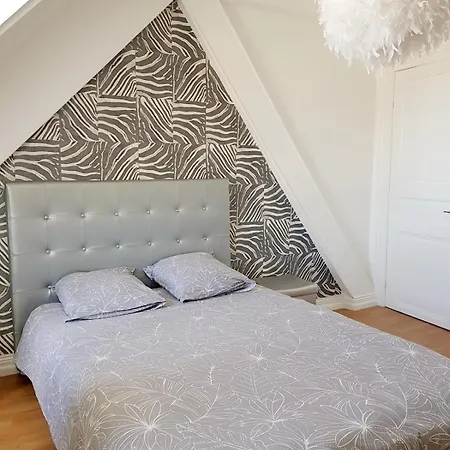 Charming Downtown With Roof * Mulhouse