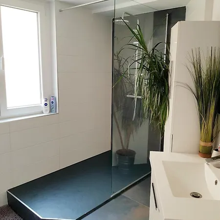 Appartement Charming Downtown With Roof Mulhouse